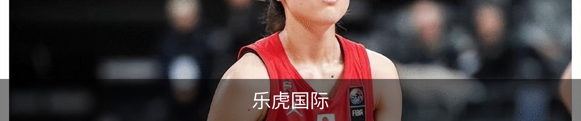 乐虎国际